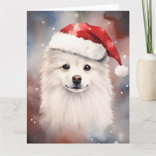 American Eskimo Dog Weihnachtsfeiertag Karte