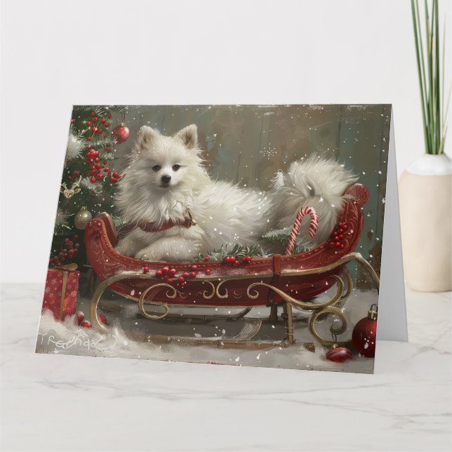 American Eskimo Dog Weihnachtsfest Karte (Vorderseite)