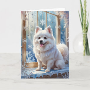 American Eskimo Dog Weihnachtsgrußkarte Karte