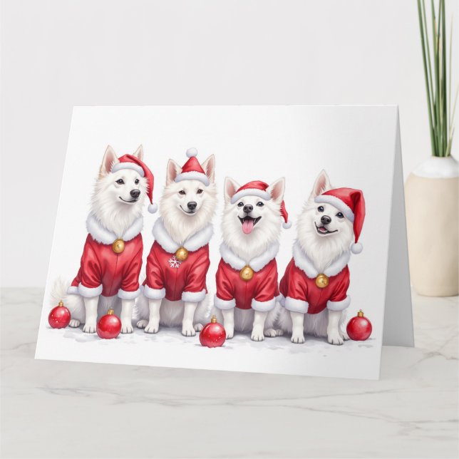 American Eskimo Dog Weihnachtskleid Santa Hut Karte (Vorderseite)