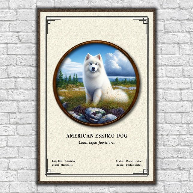 American Eskimo Dog Zoologie-Serie Poster (Von Creator hochgeladen)