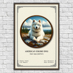 American Eskimo Dog Zoologie-Serie Poster