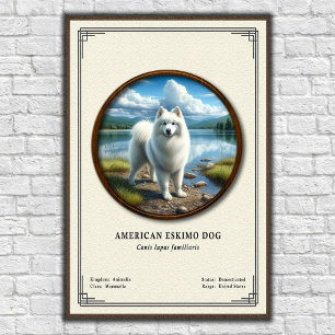 American Eskimo Dog Zoologie-Serie Poster