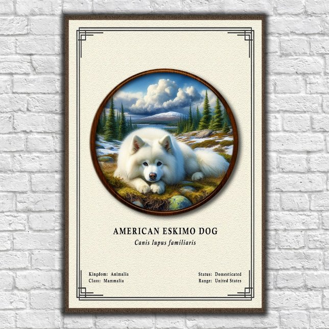 American Eskimo Dog Zoologie-Serie Poster (Von Creator hochgeladen)