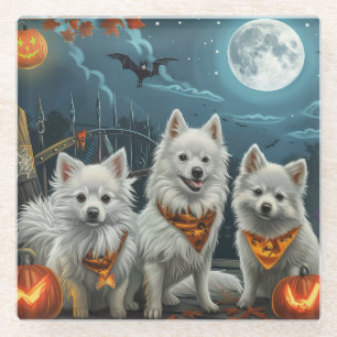 American Eskimo Halloween Spooky Glasuntersetzer
