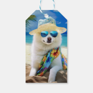 American Eskimo on Beach, Sommergeschenk für Hunde Geschenkanhänger