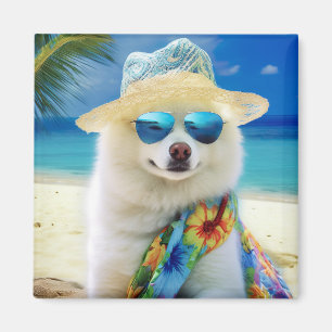 American Eskimo on Beach, Sommergeschenk für Hunde Magnet