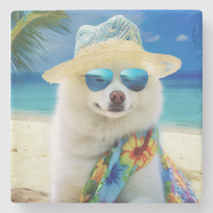 American Eskimo on Beach, Sommergeschenk für Hunde Steinuntersetzer