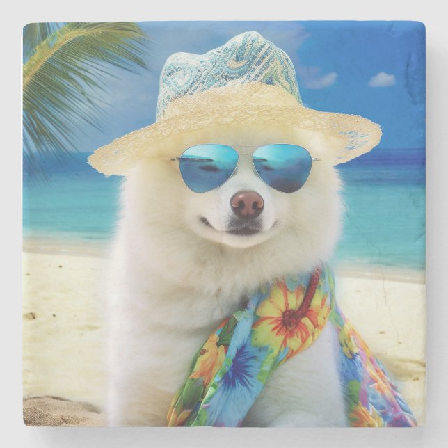 American Eskimo on Beach, Sommergeschenk für Hunde Steinuntersetzer (Vorderseite)