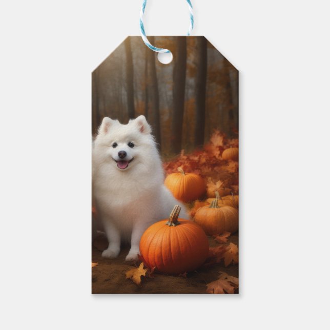 American Eskimo Welpe Autumn Delight Pumpkin Geschenkanhänger (Vorderseite)