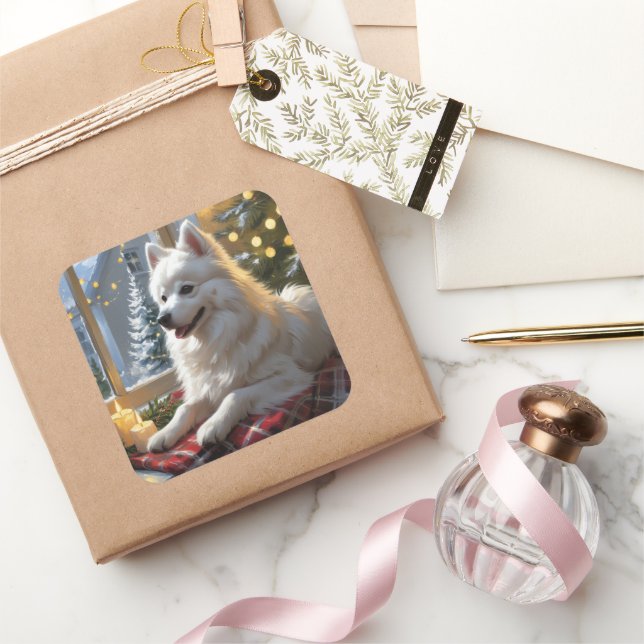American Eskimo With Christmas Lights Holiday Quadratischer Aufkleber (Schenken)