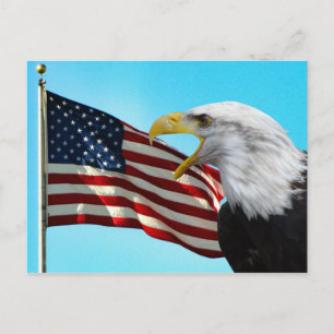 American Flag and Bald Eagle Postcard Postkarte