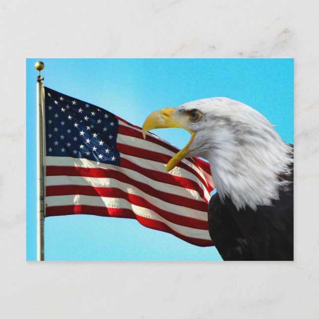 American Flag and Bald Eagle Postcard Postkarte (Vorderseite)