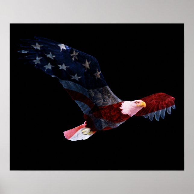 American Flag Bald Eagle Poster (Vorne)
