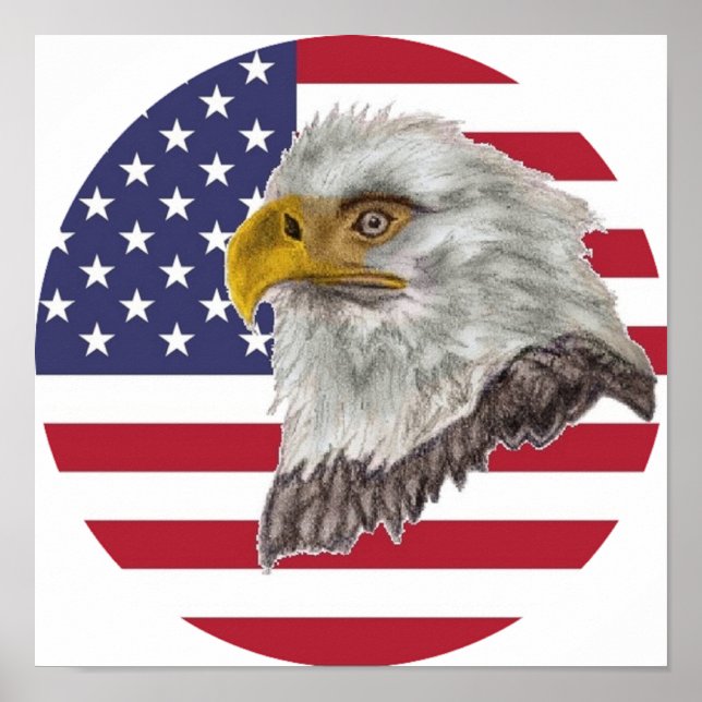 American Flag Bald Eagle Poster (Vorne)