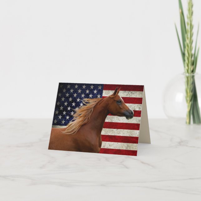 American Flag BOGO Colts-Majician Blank Note Card (Vorderseite)