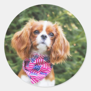 American Flag Cavalier King Charles Spaniel Puppy Runder Aufkleber