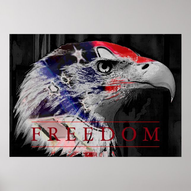 American Flag Freedom American Eagle Poster (Vorne)