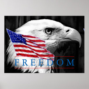 American Flag Freedom Eagle Eye Poster