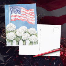 American Flag Hydrangeas Americana