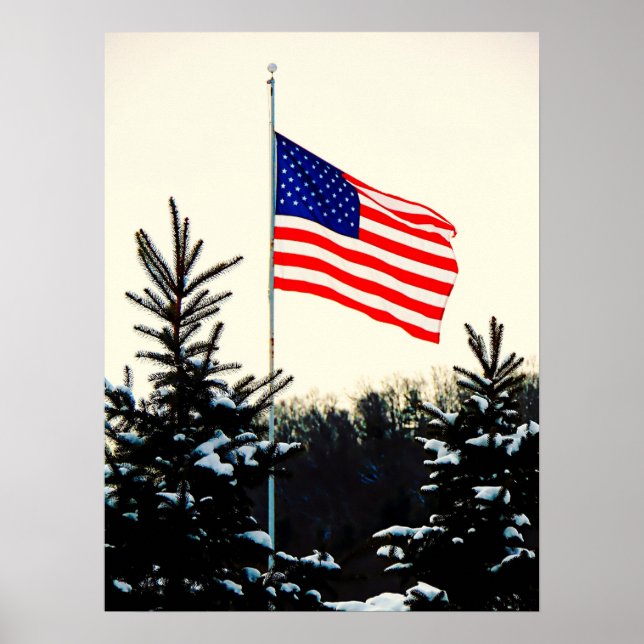 American Flag in Snow Poster (Vorne)