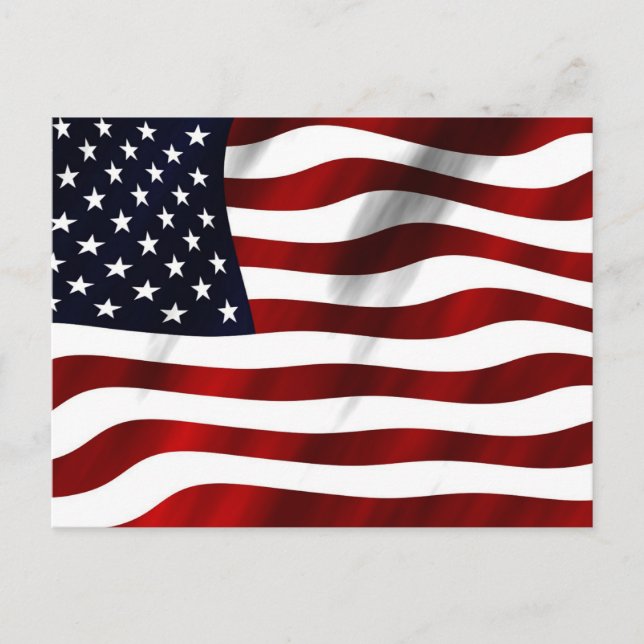 "American Flag Wing", populäres Design, Postkarte (Vorderseite)