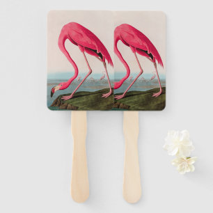 American Flamingo Birds of America Audubon Print Fächer