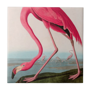 American Flamingo Birds of America Audubon Print Fliese
