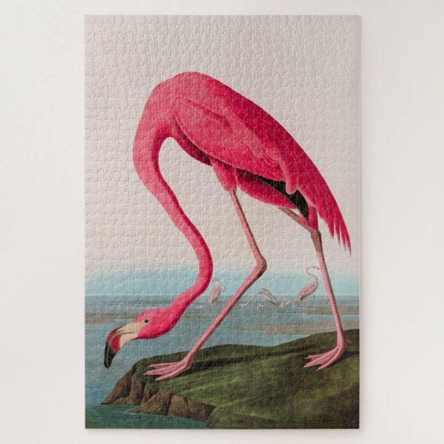 American Flamingo Birds of America Audubon Print Puzzle (Vertikal)
