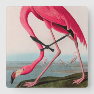 American Flamingo Birds of America Audubon Print Quadratische Wanduhr