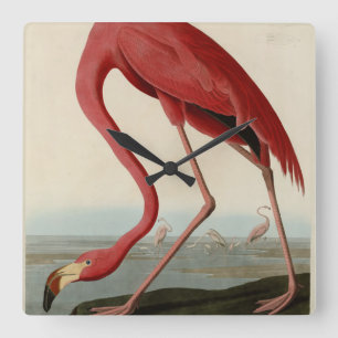 American Flamingo from Audubon's Birds of America Quadratische Wanduhr