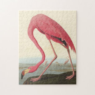 American Flamingo ~ John James Audubon 11 x 14 Puzzle