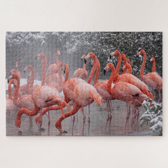 American Flamingo Puzzle (Horizontal)