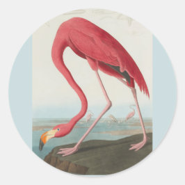 American Flamingo von John James Audubon 1838 Runder Aufkleber