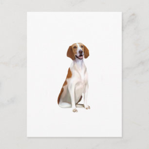 American Foxhound (A) Postkarte