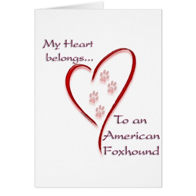 American Foxhound Heart Belongs (Vorne)