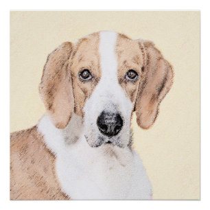 American Foxhound Painting - Niedliche Original Do Poster
