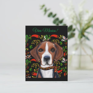 American Foxhound Postkarte