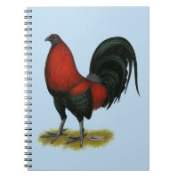 American Game BB Black Red Rooster