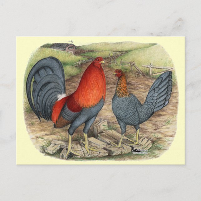 American Game Blue Reds Postkarte (Vorderseite)