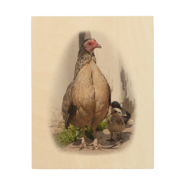 American Game Hen and Baby Chickens Holzdruck (Vorderseite)