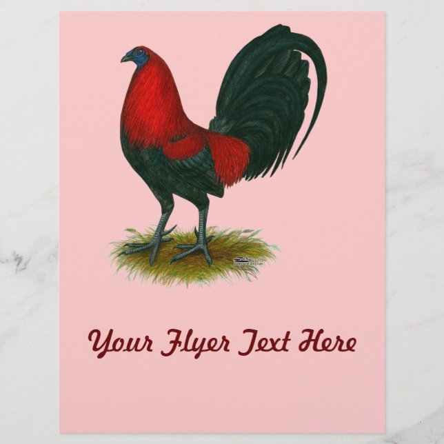 American Gamecock: Brown Red Flyer (Vorne)