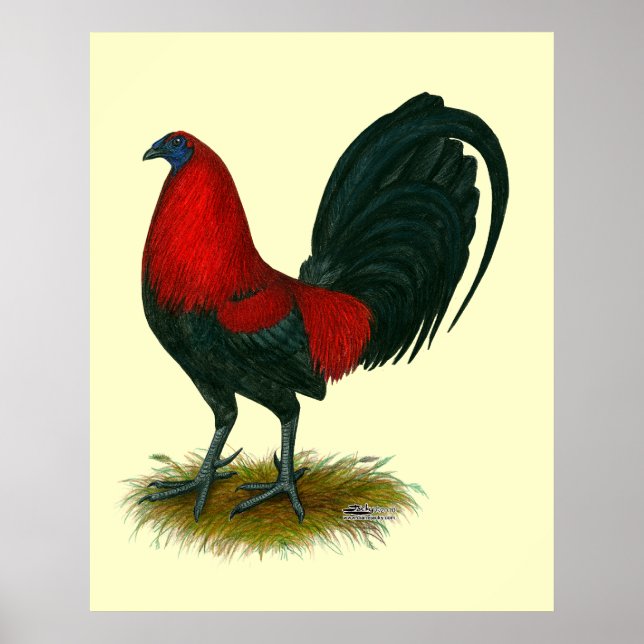American Gamecock: Brown Red Poster (Vorne)