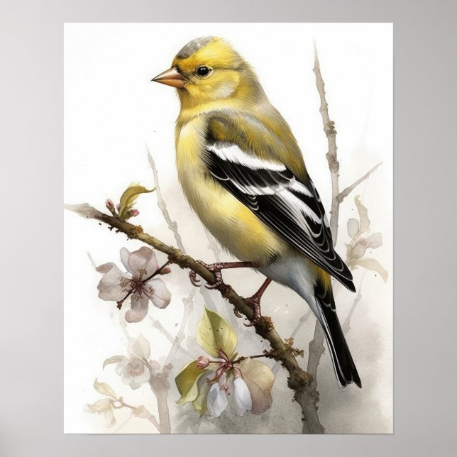 American Goldfinch Bird Art Print Poster (Vorne)