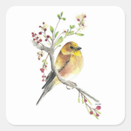 American Goldfinch Bird Berries Quadratischer Aufkleber