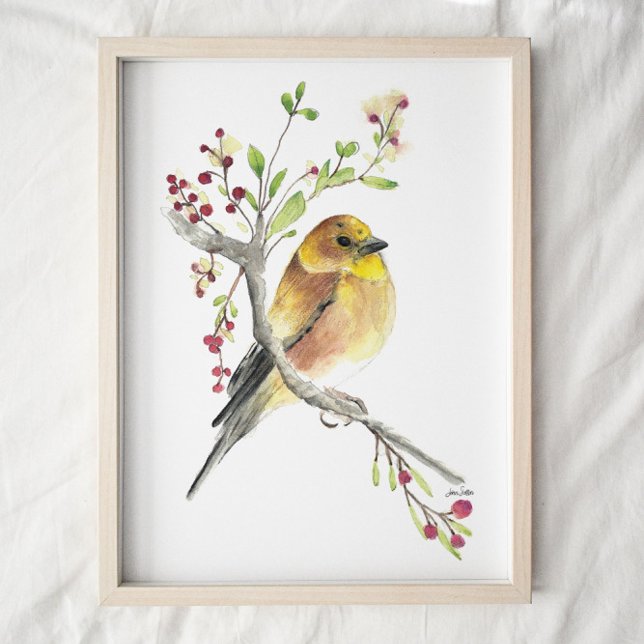 American Goldfinch Bird Watercolor Art Print Poster (Von Creator hochgeladen)