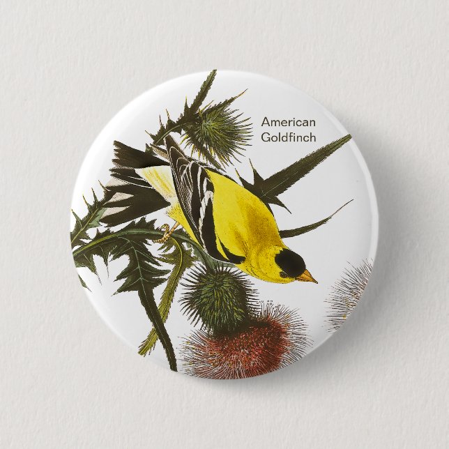 American Goldfinch by John James Audubon Button (Vorderseite)