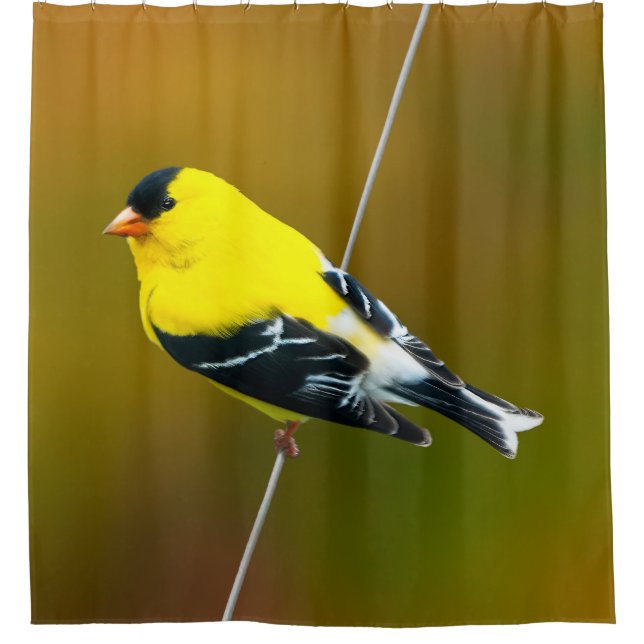 American Goldfinch - Originalfotografie Duschvorhang (Vorderseite)