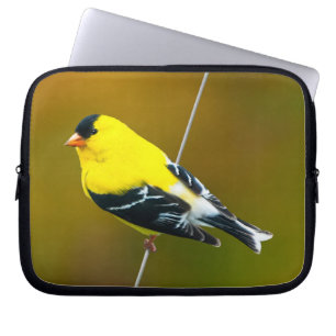American Goldfinch - Originalfotografie Laptopschutzhülle