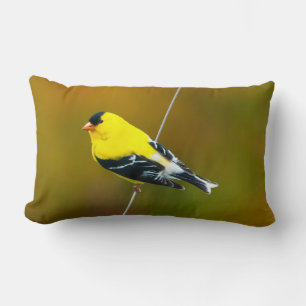 American Goldfinch - Originalfotografie Lendenkissen